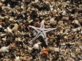DSC05952_6x4.jpg