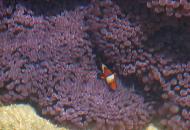 DSC05415_s.jpg